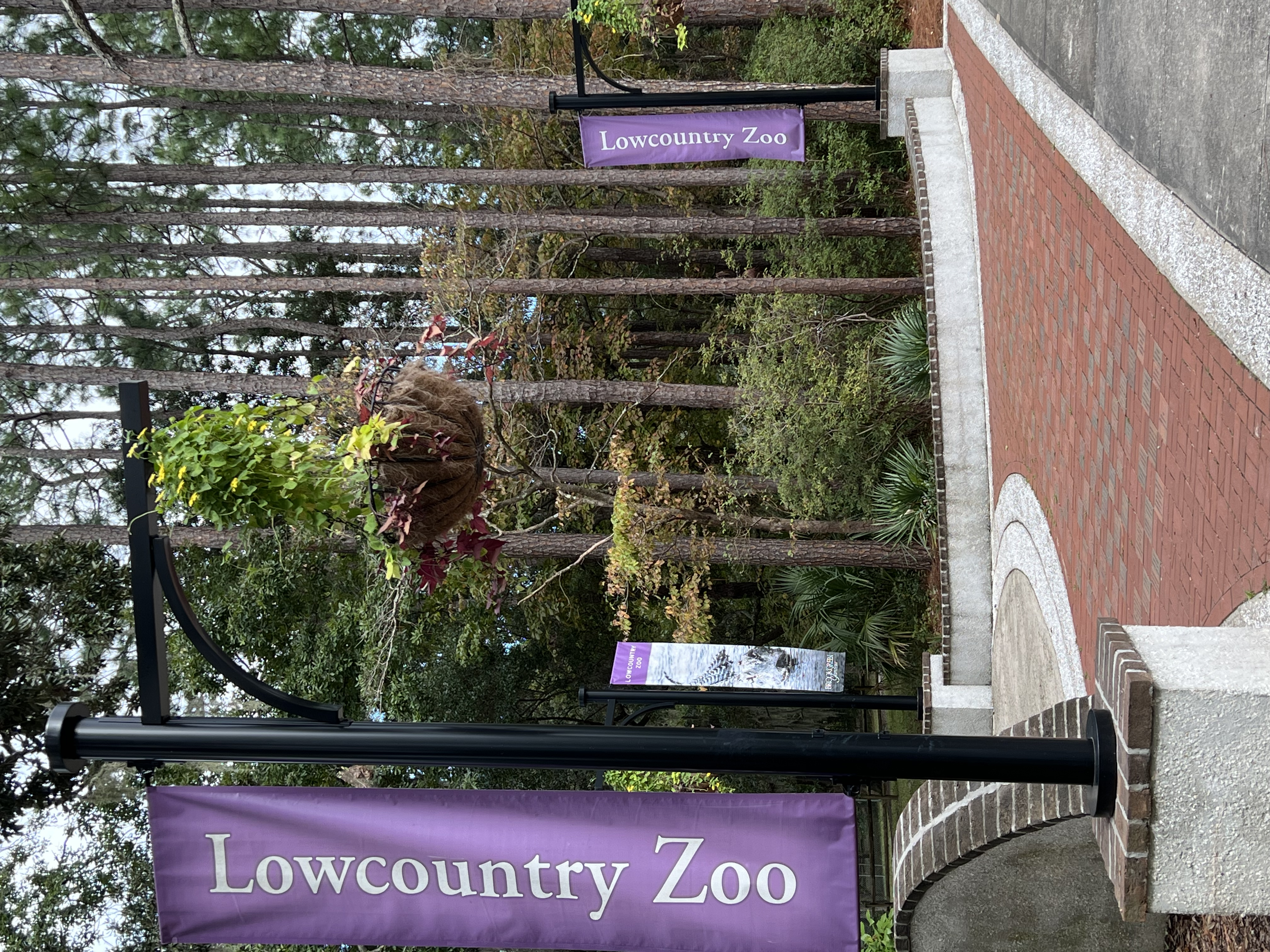 ./2024/10 - Myrtle Beach/IMG_2793.jpg